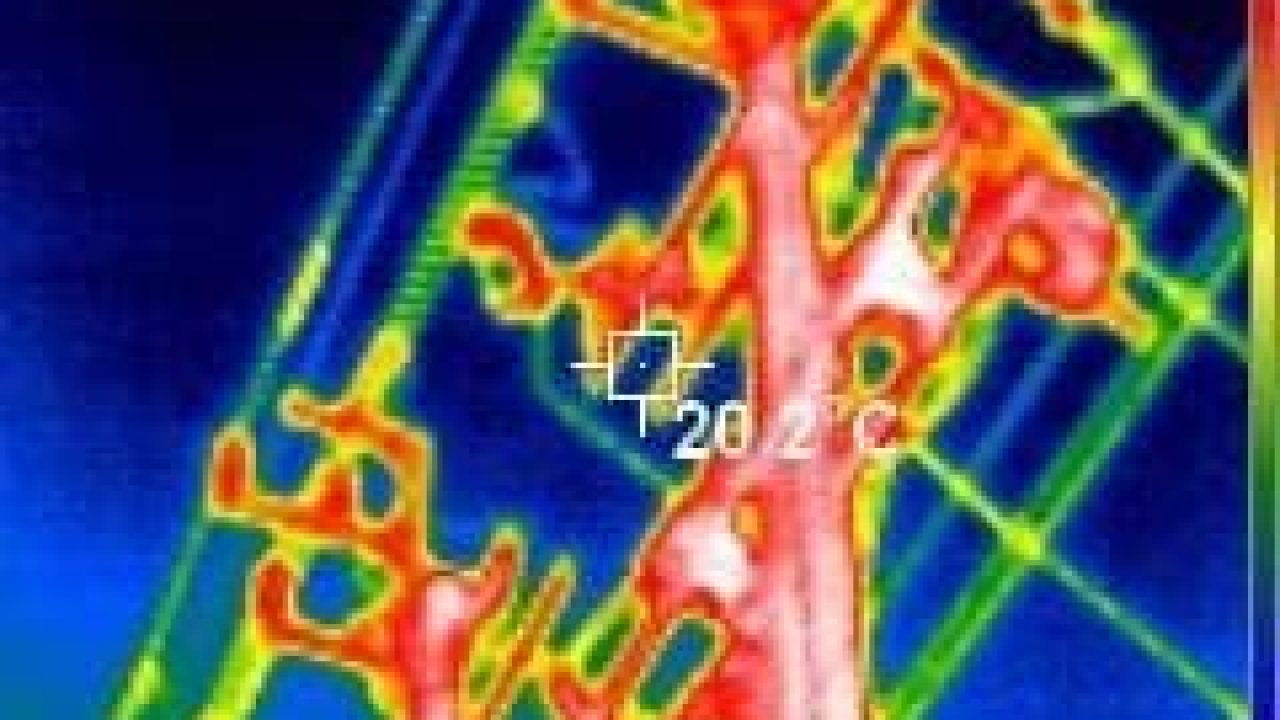 บริษัท ธนยศ น้ำแข็ง จำกัด (2)